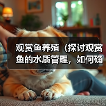 观赏鱼养殖（探讨观赏鱼的水质管理，如何确定换水的频率）