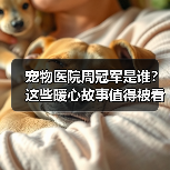 宠物医院周冠军是谁?这些暖心故事值得被看见(图3) 宠物医院周冠军是谁?这些暖心故事值得被看见(图3)