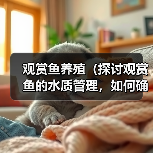 观赏鱼养殖（探讨观赏鱼的水质管理，如何确定换水的频率）(图2)