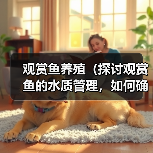 观赏鱼养殖（探讨观赏鱼的水质管理，如何确定换水的频率）(图3)