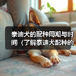 泰迪犬的配种周期与时间(了解泰迪犬配种的时间和周期有助于繁殖者的决策)(图4) 泰迪犬的配种周期与时间(了解泰迪犬配种的时间和周期有助于繁殖者的决策)(图4)