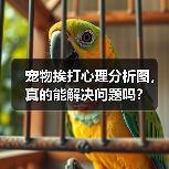 宠物挨打心理分析图,真的能解决问题吗?(图2) 宠物挨打心理分析图,真的能解决问题吗?(图2)