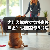 为什么你的宠物越来越焦虑?心理咨询师能帮上忙吗?(图2) 为什么你的宠物越来越焦虑?心理咨询师能帮上忙吗?(图2)