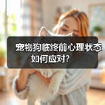 宠物狗临终前心理状态如何应对?(图3) 宠物狗临终前心理状态如何应对?(图3)