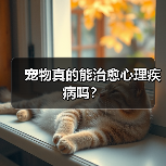 宠物真的能治愈心理疾病吗?(图3) 宠物真的能治愈心理疾病吗?(图3)