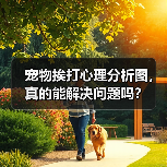 宠物挨打心理分析图,真的能解决问题吗?(图3) 宠物挨打心理分析图,真的能解决问题吗?(图3)