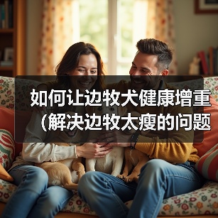 如何让边牧犬健康增重（解决边牧太瘦的问题，提供适合增重的饮食和方法）