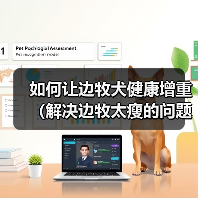 如何让边牧犬健康增重(解决边牧太瘦的问题,提供适合增重的饮食和方法)(图3) 如何让边牧犬健康增重(解决边牧太瘦的问题,提供适合增重的饮食和方法)(图3)