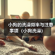 小狗的洗澡频率与注意事项（小狗洗澡）(图3)