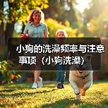 小狗的洗澡频率与注意事项（小狗洗澡）(图4)