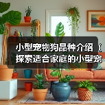 小型宠物狗品种介绍（探索适合家庭的小型宠物狗，了解其特点和需求）(图3)