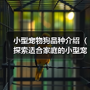 小型宠物狗品种介绍（探索适合家庭的小型宠物狗，了解其特点和需求）(图4)