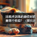 比格犬训练的最佳时机是哪个阶段？（探究比格犬训练的黄金时期）(图3)