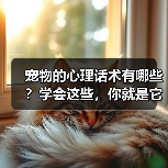 宠物的心理话术有哪些?学会这些,你就是它们的“心灵导师”(图3) 宠物的心理话术有哪些?学会这些,你就是它们的“心灵导师”(图3)