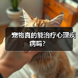 宠物真的能治疗心理疾病吗?(图3) 宠物真的能治疗心理疾病吗?(图3)
