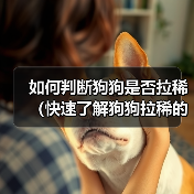 如何判断狗狗是否拉稀（快速了解狗狗拉稀的主要特征和处理方法）
