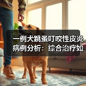一例犬跳蚤叮咬性皮炎病例分析:综合治疗如何快速缓解瘙痒?(图2) 一例犬跳蚤叮咬性皮炎病例分析:综合治疗如何快速缓解瘙痒?(图2)