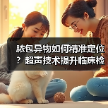 脓包异物如何精准定位?超声技术提升临床检出率(图4) 脓包异物如何精准定位?超声技术提升临床检出率(图4)
