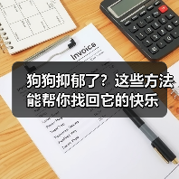狗狗抑郁了?这些方法能帮你找回它的快乐(图3) 狗狗抑郁了?这些方法能帮你找回它的快乐(图3)