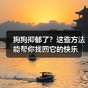 狗狗抑郁了?这些方法能帮你找回它的快乐(图4) 狗狗抑郁了?这些方法能帮你找回它的快乐(图4)