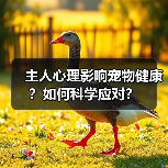 主人心理影响宠物健康?如何科学应对?(图4) 主人心理影响宠物健康?如何科学应对?(图4)