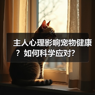 主人心理影响宠物健康?如何科学应对?(图3) 主人心理影响宠物健康?如何科学应对?(图3)