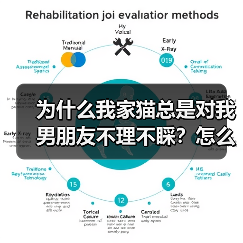为什么我家猫总是对我男朋友不理不睬？怎么解决？