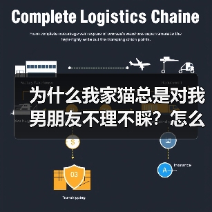 为什么我家猫总是对我男朋友不理不睬?怎么解决?(图1) 为什么我家猫总是对我男朋友不理不睬?怎么解决?(图1)