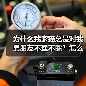 为什么我家猫总是对我男朋友不理不睬?怎么解决?(图4) 为什么我家猫总是对我男朋友不理不睬?怎么解决?(图4)