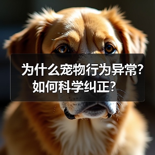 为什么宠物行为异常?如何科学纠正?(图2) 为什么宠物行为异常?如何科学纠正?(图2)