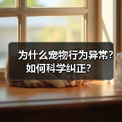为什么宠物行为异常？如何科学纠正？