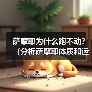 萨摩耶为什么跑不动？（分析萨摩耶体质和运动能力的限制）(图2)