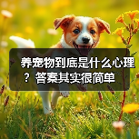 养宠物到底是什么心理?答案其实很简单(图3) 养宠物到底是什么心理?答案其实很简单(图3)