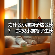 为什么小猫胡子这么长？（探究小猫胡子生长的原因及功能）