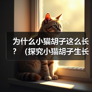为什么小猫胡子这么长？（探究小猫胡子生长的原因及功能）(图2)