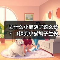 为什么小猫胡子这么长？（探究小猫胡子生长的原因及功能）(图3)