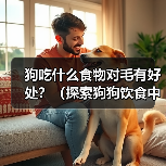 狗吃什么食物对毛有好处？（探索狗狗饮食中对毛发健康的关键）(图2)