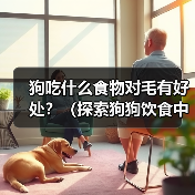 狗吃什么食物对毛有好处？（探索狗狗饮食中对毛发健康的关键）(图4)