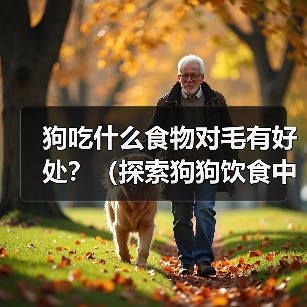 狗吃什么食物对毛有好处？（探索狗狗饮食中对毛发健康的关键）(图3)