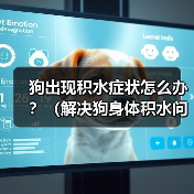 狗出现积水症状怎么办？（解决狗身体积水问题的有效药物及方法）