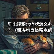 狗出现积水症状怎么办？（解决狗身体积水问题的有效药物及方法）(图2)