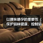 以猫咪绝孕的重要性（保护猫咪健康，控制猫咪数量）(图2)