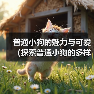 普通小狗的魅力与可爱（探索普通小狗的多样品种与特点）