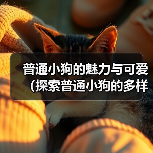 普通小狗的魅力与可爱（探索普通小狗的多样品种与特点）(图3)