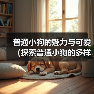 普通小狗的魅力与可爱（探索普通小狗的多样品种与特点）(图4)