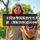 不同体型狗狗的生长周期(探秘狗狗成长中的差异及关键期)(图2) 不同体型狗狗的生长周期(探秘狗狗成长中的差异及关键期)(图2)