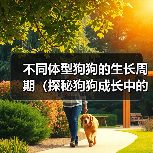 不同体型狗狗的生长周期(探秘狗狗成长中的差异及关键期)(图4) 不同体型狗狗的生长周期(探秘狗狗成长中的差异及关键期)(图4)
