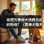 如何为泰迪犬选择合适的狗粮？（泰迪犬每天所需狗粮量以及挑选狗粮的关键因素）
