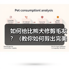 如何给比熊犬修剪毛发？（教你如何剪出完美比熊造型）(图2)