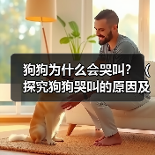狗狗为什么会哭叫？（探究狗狗哭叫的原因及应对方法）